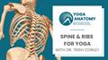 Anatomy of Spine _ Ribs 2023.4.26